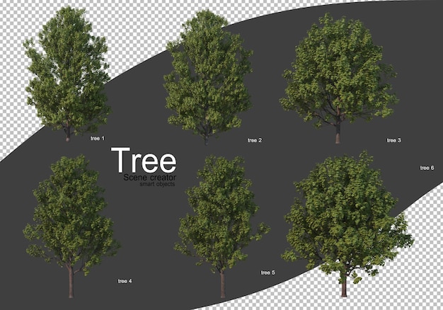 Various types of trees rendering Isolated