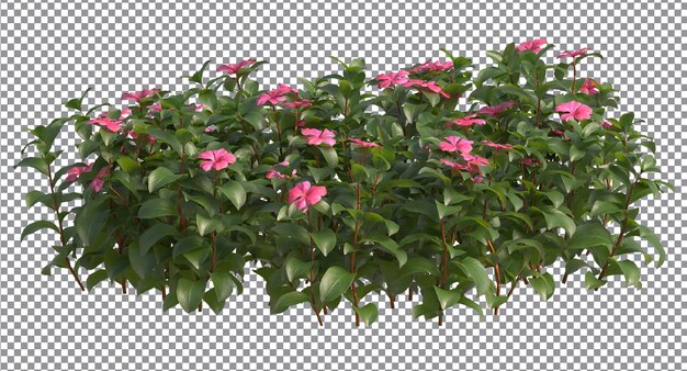 various types of trees small plants bushes shrub and flowers isolated