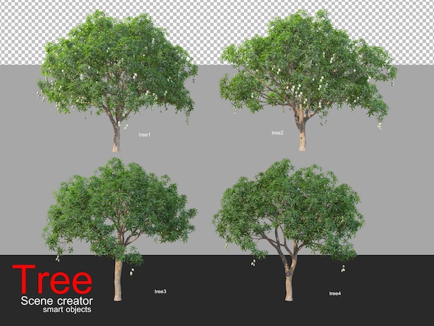 various types of trees