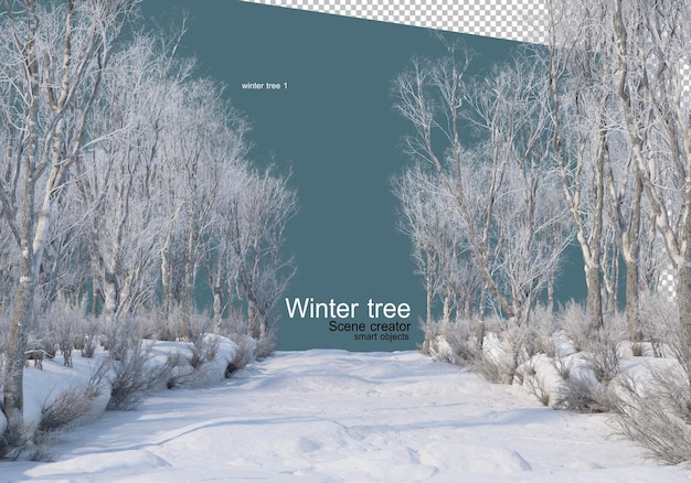 Various winter trees design isolated