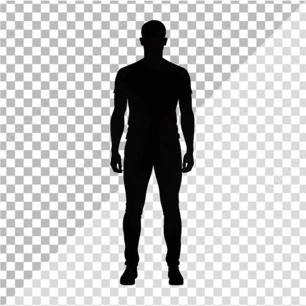 Vector adult man silhouette on transparent background