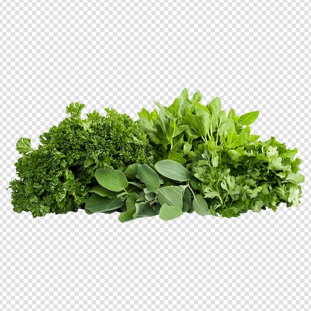 Vegetables isolated on transparent background cut out