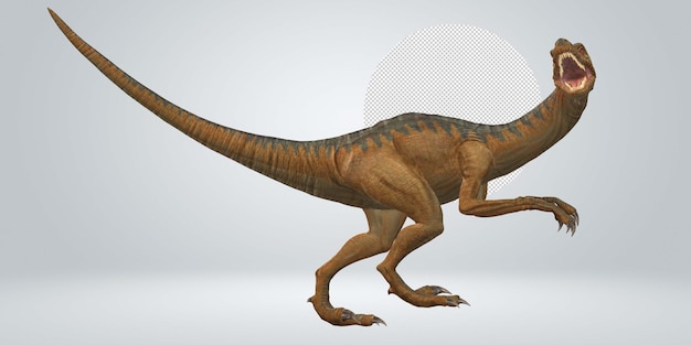 PSD velociraptor dinosaur isolated on a transparent background