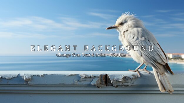 Very beautiful white seagull