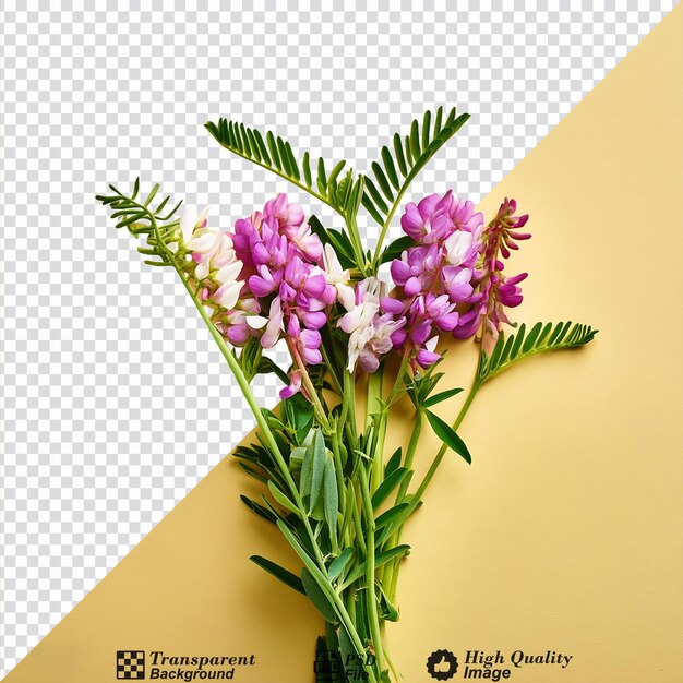 PSD vetch flower isolated on transparent background