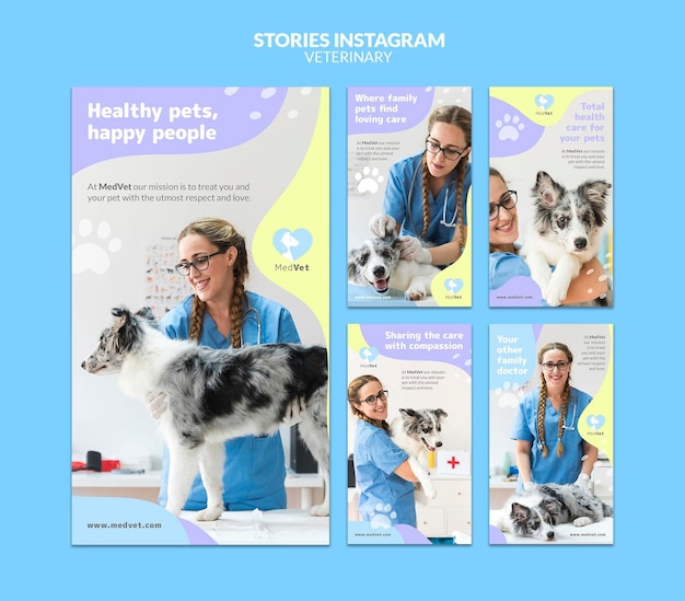 Veterinary clinic instagram stories template