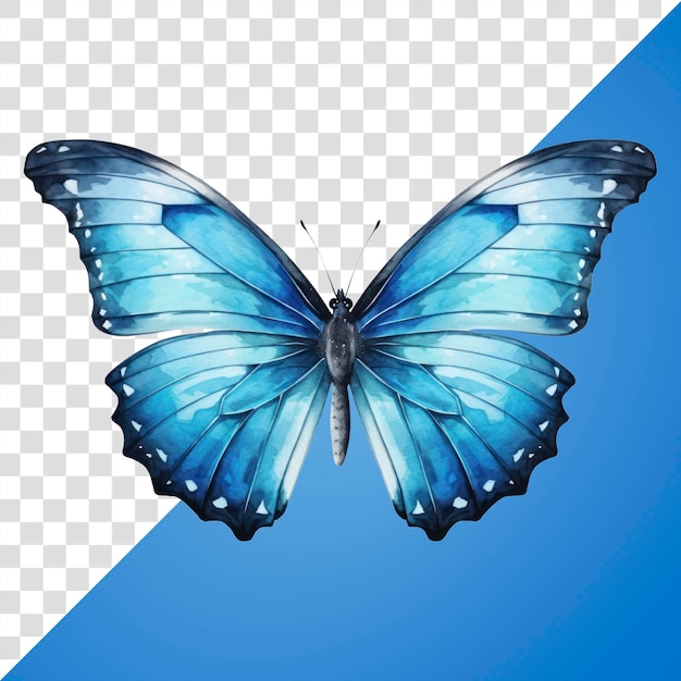 Vibrant blue butterfly illustration