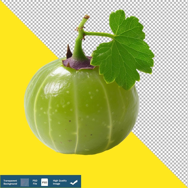 Vibrant Gooseberry transparent background PNG PSD