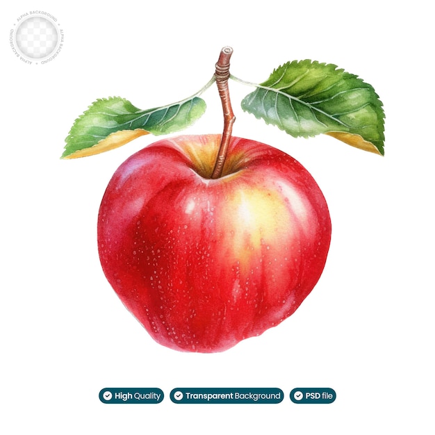 Vibrant Harvest Watercolor Apple Illustration