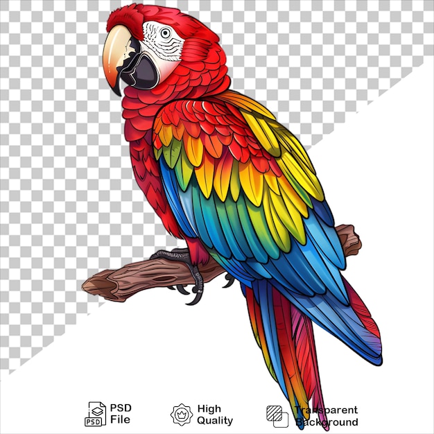 PSD vibrant parrot with red and blue feathers on transparent background