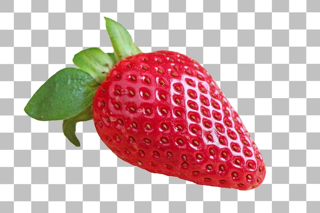 Vibrant Red Fresh Strawberry on Transparent Background