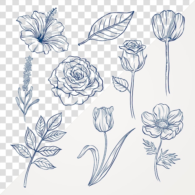 PSD vintage flower png clipart blue botanical illustration collection