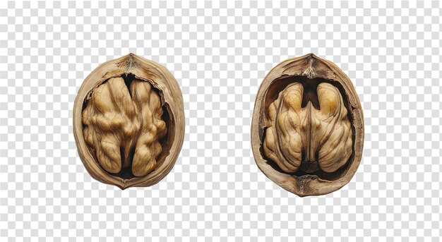 PSD walnuts isolated on transparent background