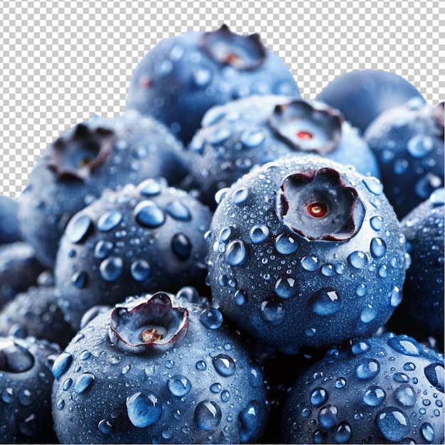 PSD water drops shines on blueberry