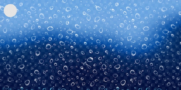 Water drops on transparent background