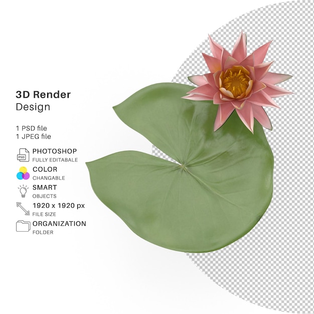 Water Lily 3D Modeling PSD File Realistic