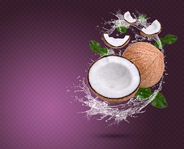 Water splash on coconut with bergamot leaves isolated on purple background Premium PSD