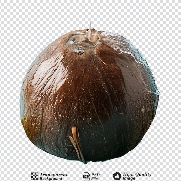 Water splash on coconut with leaves isolated on transparent background