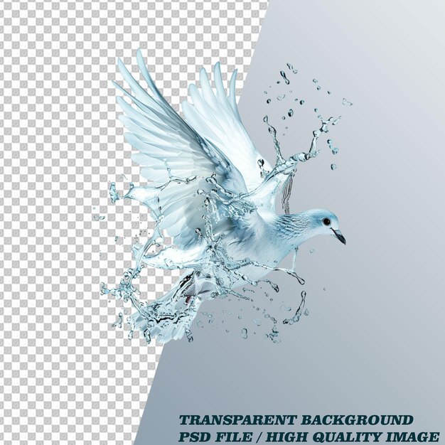 Water Splash Effect on Transparent Background PSD File