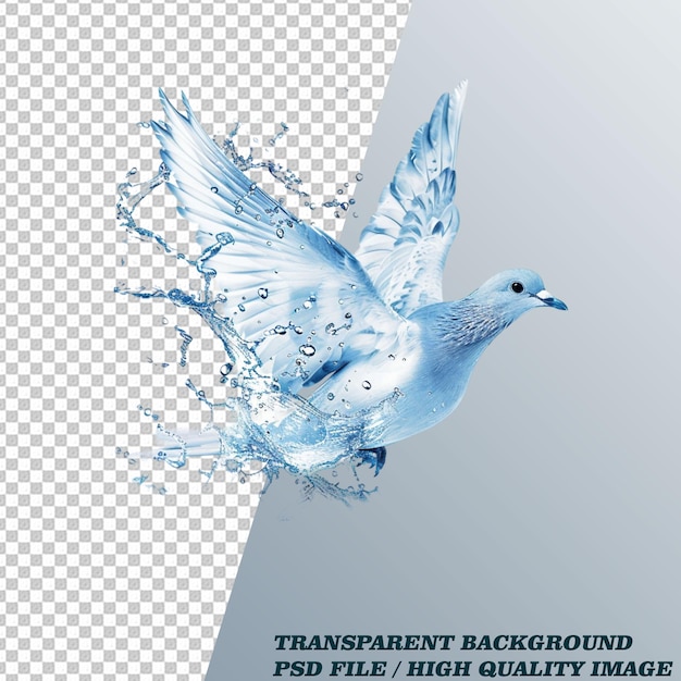 Water Splash Effect on Transparent Background PSD File