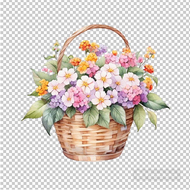 Watercolor Basket