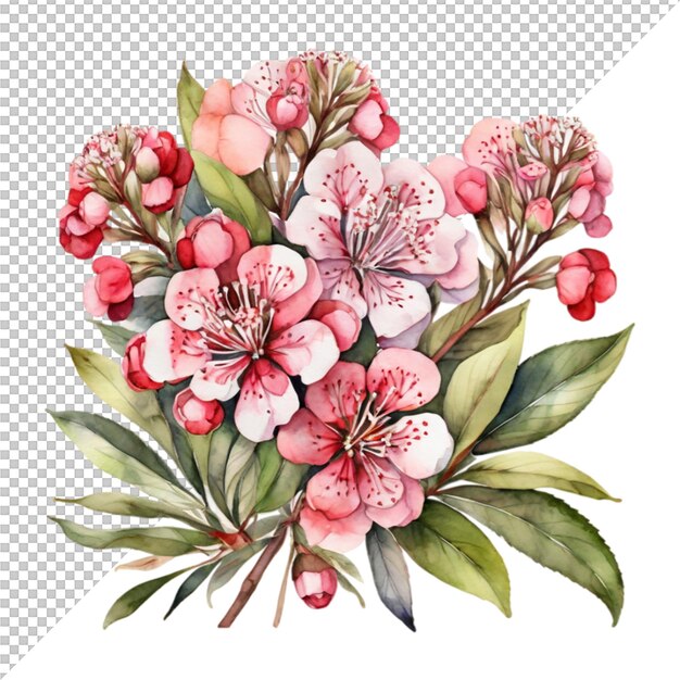 Watercolor Floral Flower Bouquet