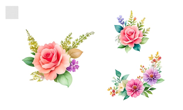 Watercolor Flower Set Realistic Illustrations for Simple and Elegant Bridal Designs