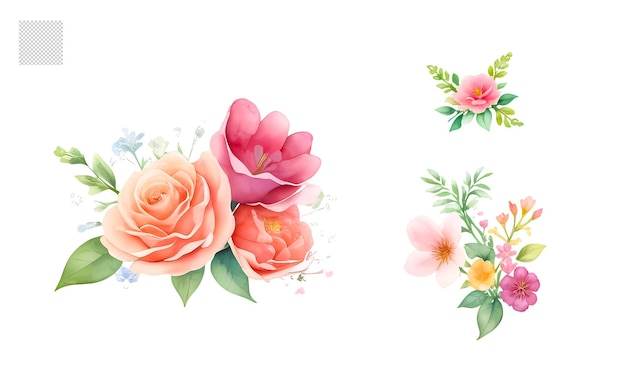 Watercolor Flower Set Realistic Illustrations for Simple and Elegant Bridal Designs