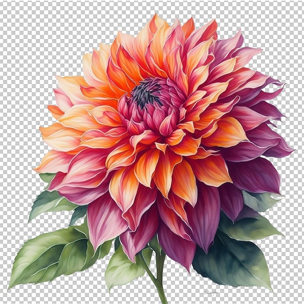 Watercolor Flower