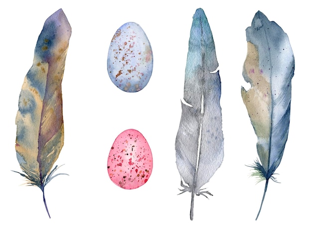 Watercolor gray bird feathers and eggs design elements Easter theme