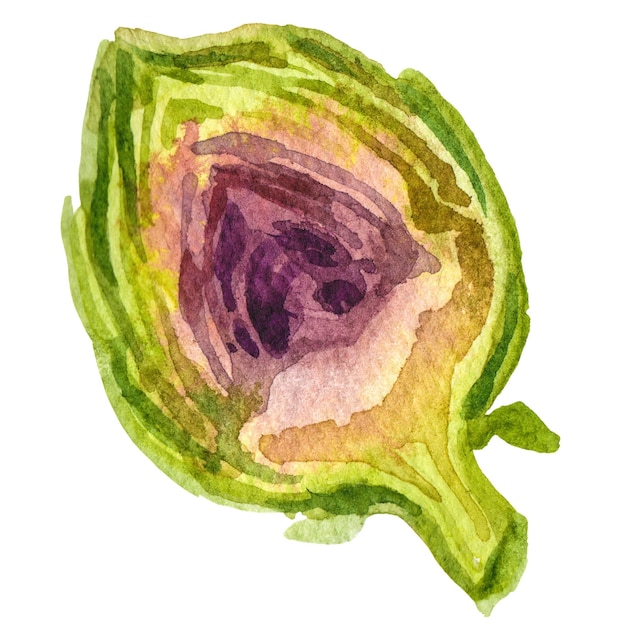 Watercolor painted artichoke Hand drawn fresh food design element isolated on transparent background