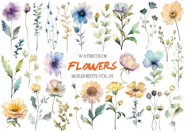 Watercolor painted flower Hand drawn flower design elements isolated on white background