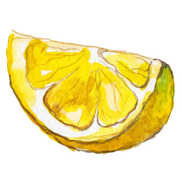 Watercolor painted lemon Hand drawn fresh food design elements isolated on white background