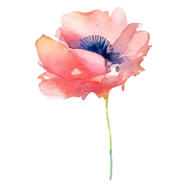 PSD watercolor painted poppy flower hand drawn design element isolated on transparent background