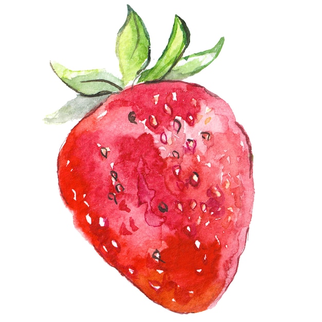 Watercolor painted strawberry Hand drawn fresh food design elements isolated on white background