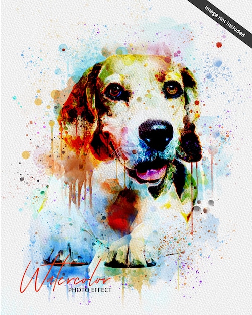 A watercolor painting of a dog with the words the dog on it.