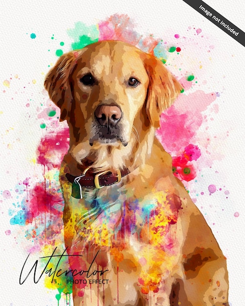 A watercolor painting of a golden retriever with the word pet on the front.