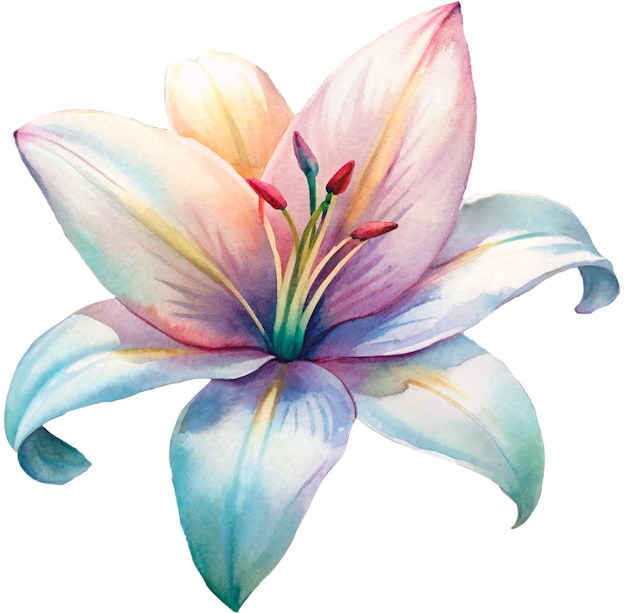 a watercolor painting of a lily with the colors of the rainbow