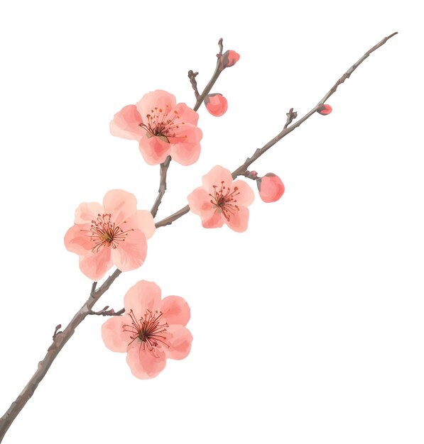 PSD watercolor painting of red cherry blossom branch with buds and flowers