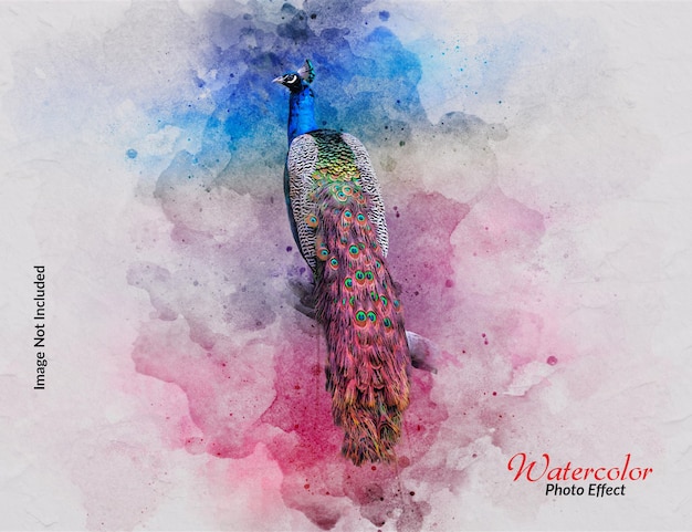 Watercolor splash painting photo effect template