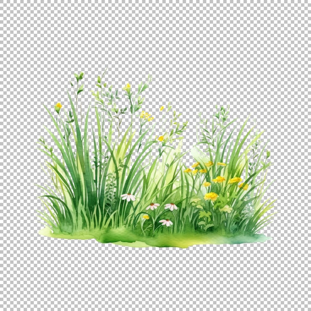 Watercolor Spring Grass Clipart