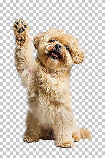 PSD waving lucky dog alone on transparent background