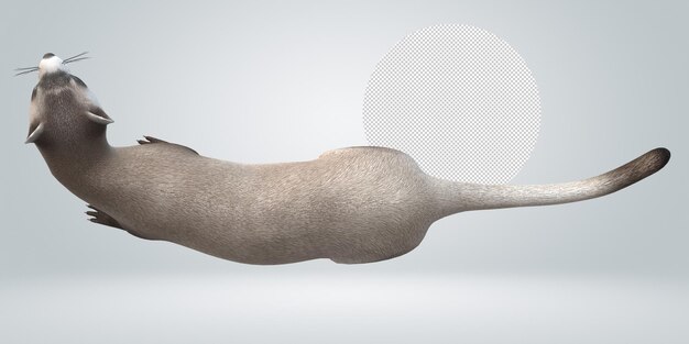 PSD weasel isolated on a transparent background