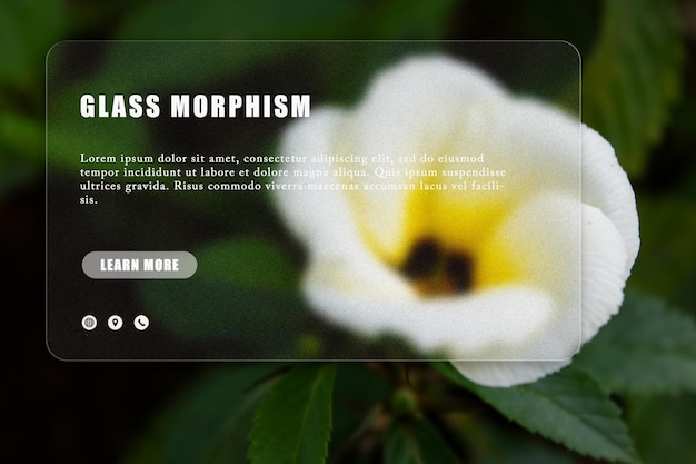 A website that says'the grass morphim'on it