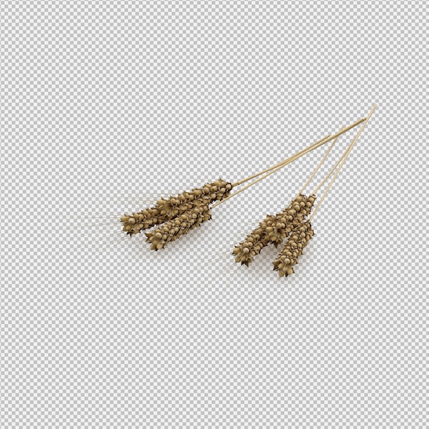 wheat 3D render