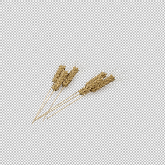 wheat 3D render