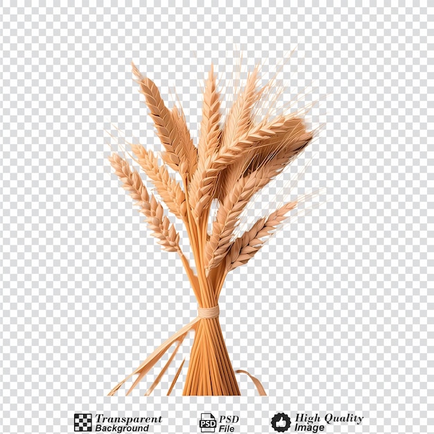 PSD wheat isolated on transparent background