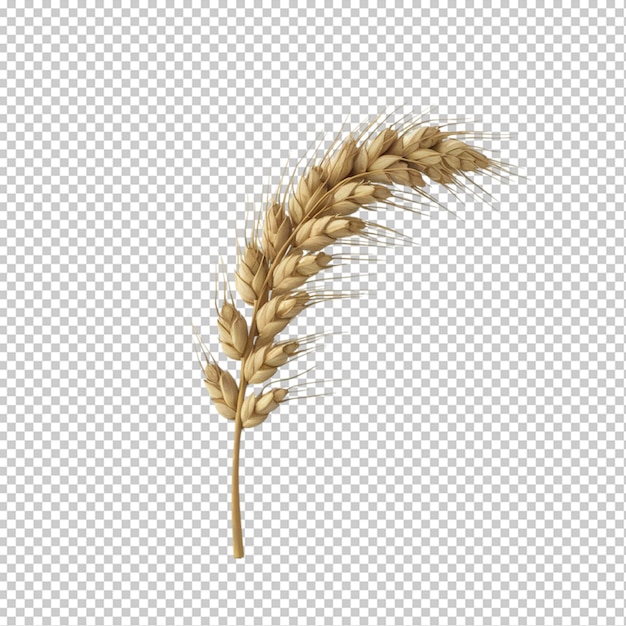 Wheat isolated on transparent background