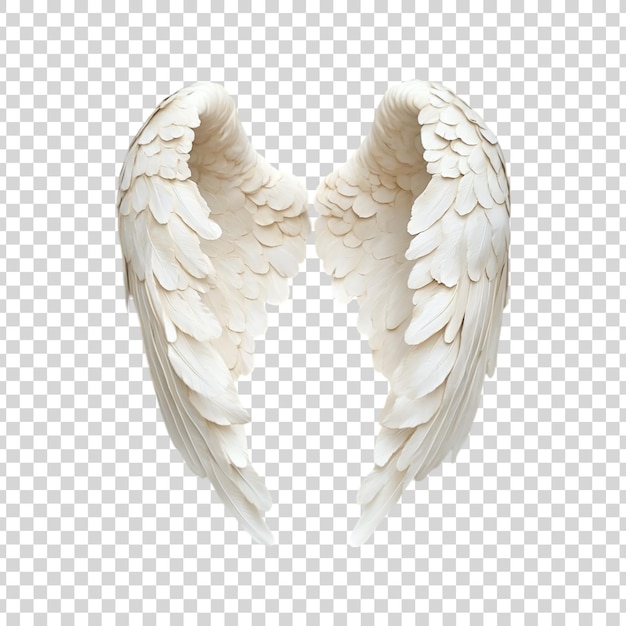 White angel wings Isolated on a white background