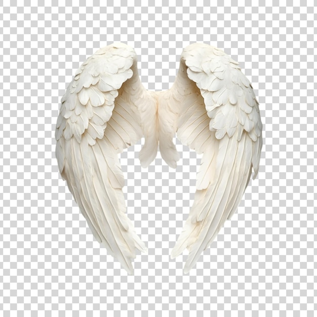 White angel wings Isolated on a white background